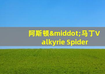 阿斯顿·马丁Valkyrie Spider